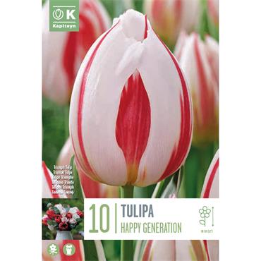 TULIP TRIUMPH HAPPY GENERATION