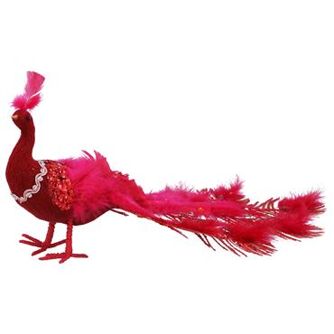 GISELA GRAHAM FUCHSIA PEACOCK LGE