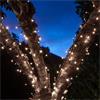 NOMA 120 COOL WHITE BATTERY STRING LIGHTS