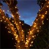 NOMA 120 WARM WHITE BATTERY STRING LIGHTS