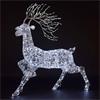 NOMA SPUN ACRYLIC WOBURN STAG 1.4M