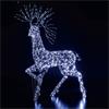NOMA WHITE FLEXI HIGHLAND STAG 2M
