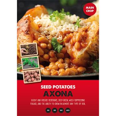SEED POTATOES AXONA 2KG