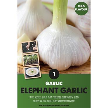 GARLIC ELEPHANT X 1