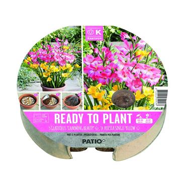 PLANT-O-MAT TRAY GLADIOLUS & FREESIA