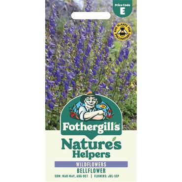 WILDFLOWER BELLFLOWER