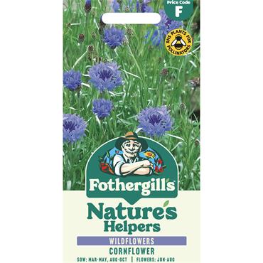 WILDFLOWER CORNFLOWER