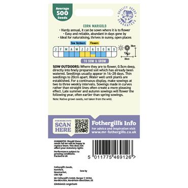 WILDFLOWER CORN MARIGOLD