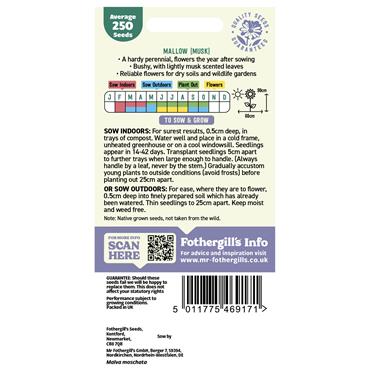 WILDFLOWER MALLOW (MUSK)