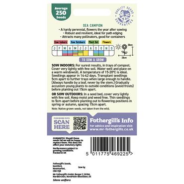 WILDFLOWER SEA CAMPION