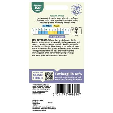 WILDFLOWER YELLOW RATTLE