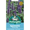 AGASTACHE ASTELLO INDIGO
