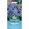 AGERATUM BLUE MINK