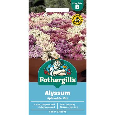 ALYSSUM APHRODITE MIX