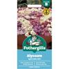 ALYSSUM APHRODITE MIX