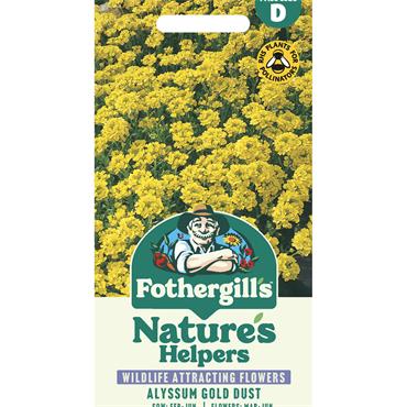 ALYSSUM GOLD DUST