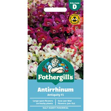 ANTIRRHINUM ANTIQUITY F1
