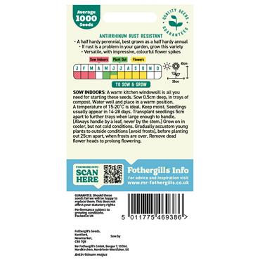 ANTIRRHINUM RUST RESISTANT MIX