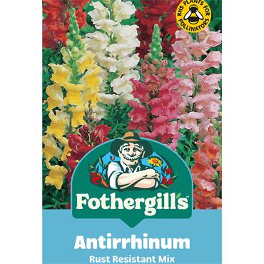 ANTIRRHINUM RUST RESISTANT MIX