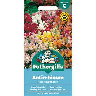 ANTIRRHINUM TOM THUMB MIX