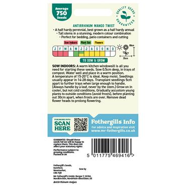 ANTIRRHINUM MANGO TWIST