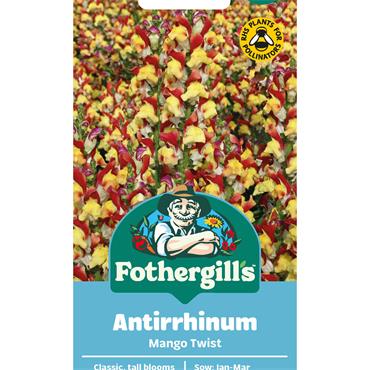 ANTIRRHINUM MANGO TWIST