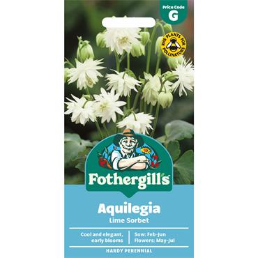 AQUILEGIA LIME SORBET