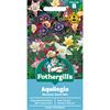 AQUILEGIA MCKANA GIANT MIX
