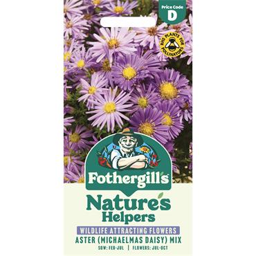 ASTER (MICHAELMAS DAISY) MIX