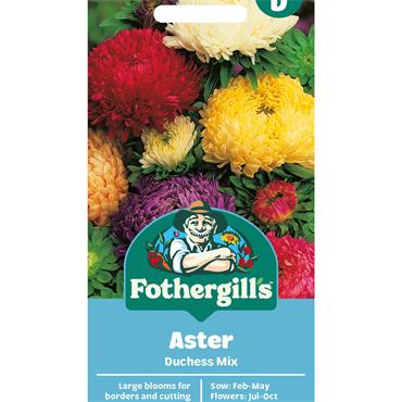 ASTER DUCHESS MIX