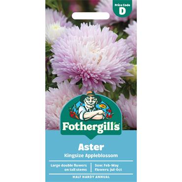 ASTER KINGSIZE APPLEBLOSSOM
