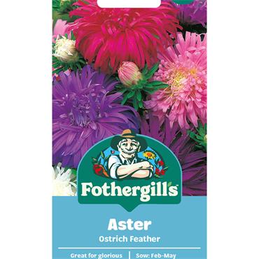ASTER OSTRICH FEATHER