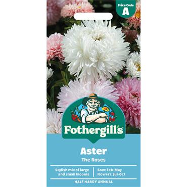ASTER THE ROSES