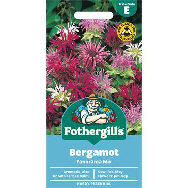 BERGAMOT PANORAMA MIX