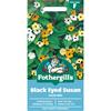 BLACK EYED SUSAN SUSIE MIX