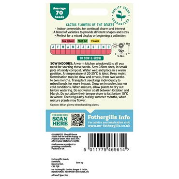 CACTUS FLOWERS OF THE DESERT