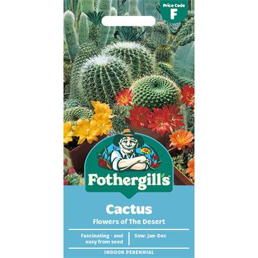 CACTUS FLOWERS OF THE DESERT