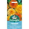 CALENDULA ART SHADES