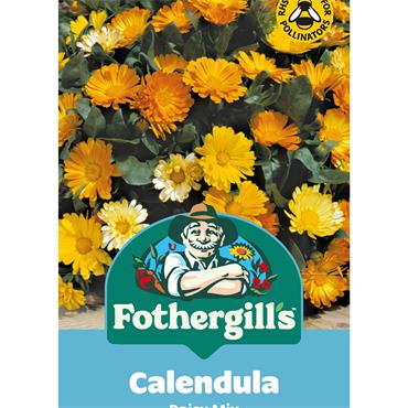 CALENDULA DAISY MIX