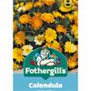 CALENDULA DAISY MIX