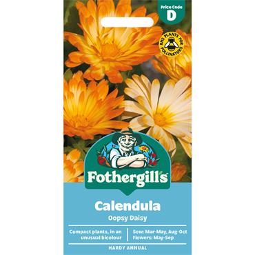 CALENDULA OOPSY DAISY