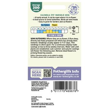 CALENDULA POT MARIGOLD NOVA
