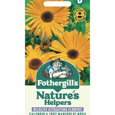 CALENDULA POT MARIGOLD NOVA