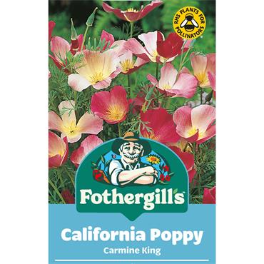 CALIFORNIAN POPPY CARMINE KING