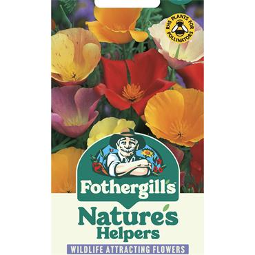 CALIFORNIAN POPPY SINGLE MIX