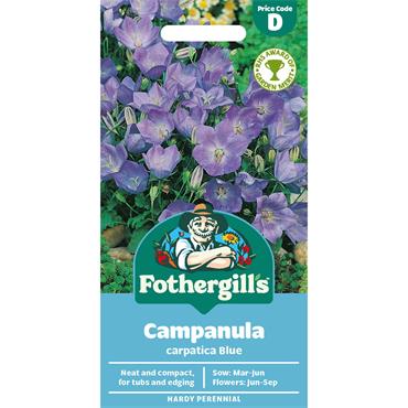 CAMPANULA CARPATICA BLUE
