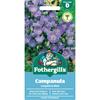 CAMPANULA CARPATICA BLUE