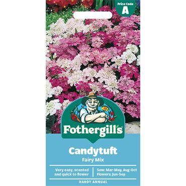 CANDYTUFT FAIRY MIX