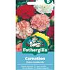 CARNATION CHOICE DOUBLE MIX