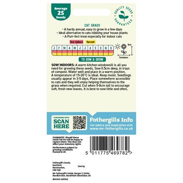 CAT GRASS AVENA SATIVA